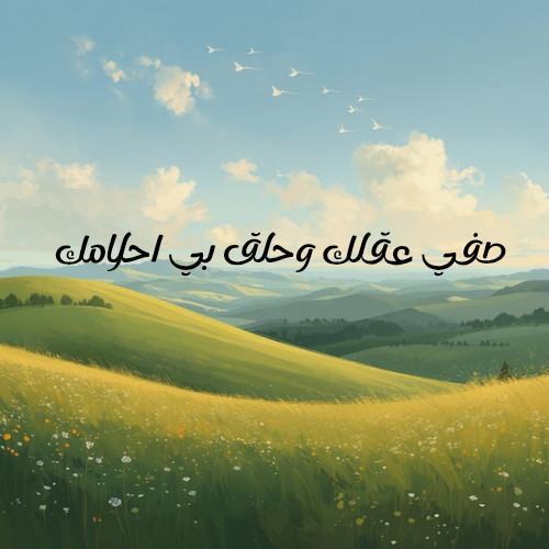 Ali Fadol - portfolio - 0