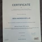 Teaching English as a Foreign Language (TEFL)