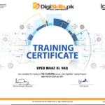 FREELANCING DigiSkills.PK (Cours en ligne)