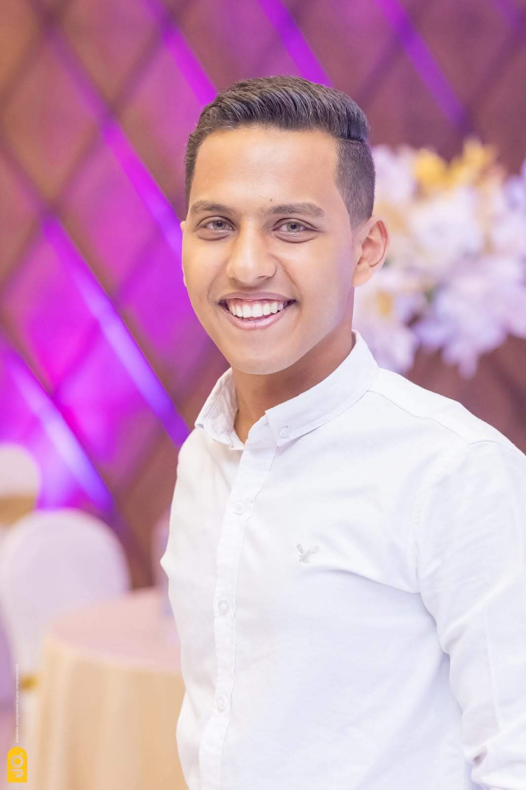 fady mimi