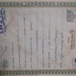 Bachelor of Arts Department of Sociology