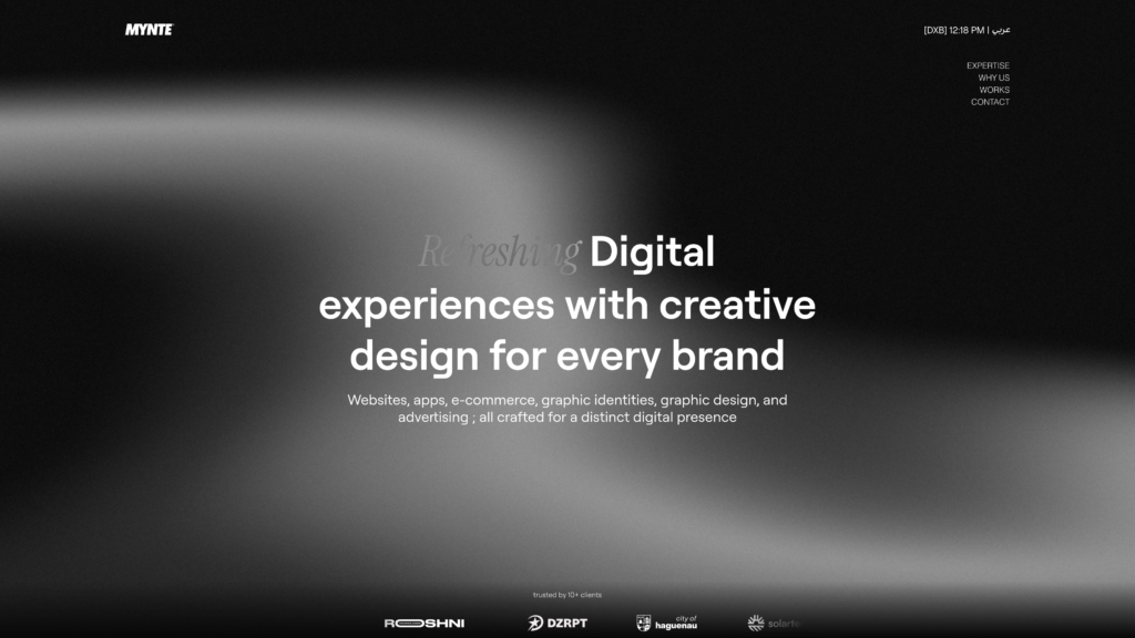 MYNTE STUDIO - portfolio - 0