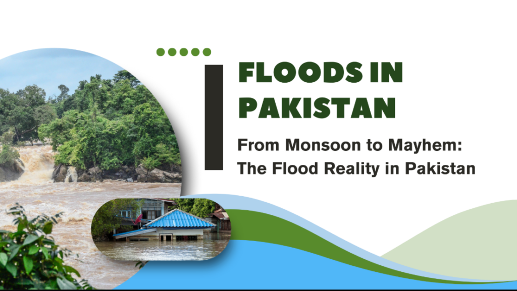 Présentation sur les inondations au Pakistan - portfolio - 0