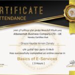 Basics of E services