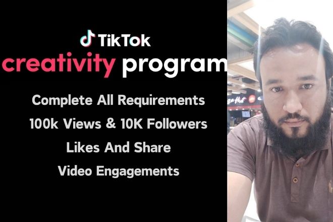 Je vais développer votre compte TikTok à l’échelle mondiale - portfolio - 0