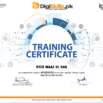 WORDPRESS DigiSkills.PK (Cours en ligne)