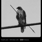 Siddharth Sharma - Bangalore, India