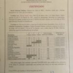 Class 12 in Economics and Legal Sciences