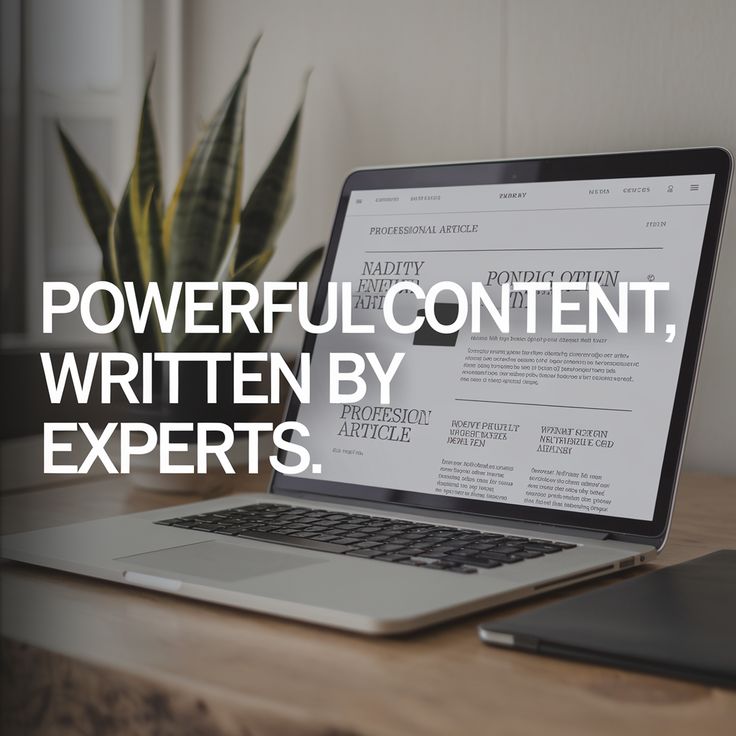 سأكتب مقالك المهني خلال يومين  - portfolio - 1