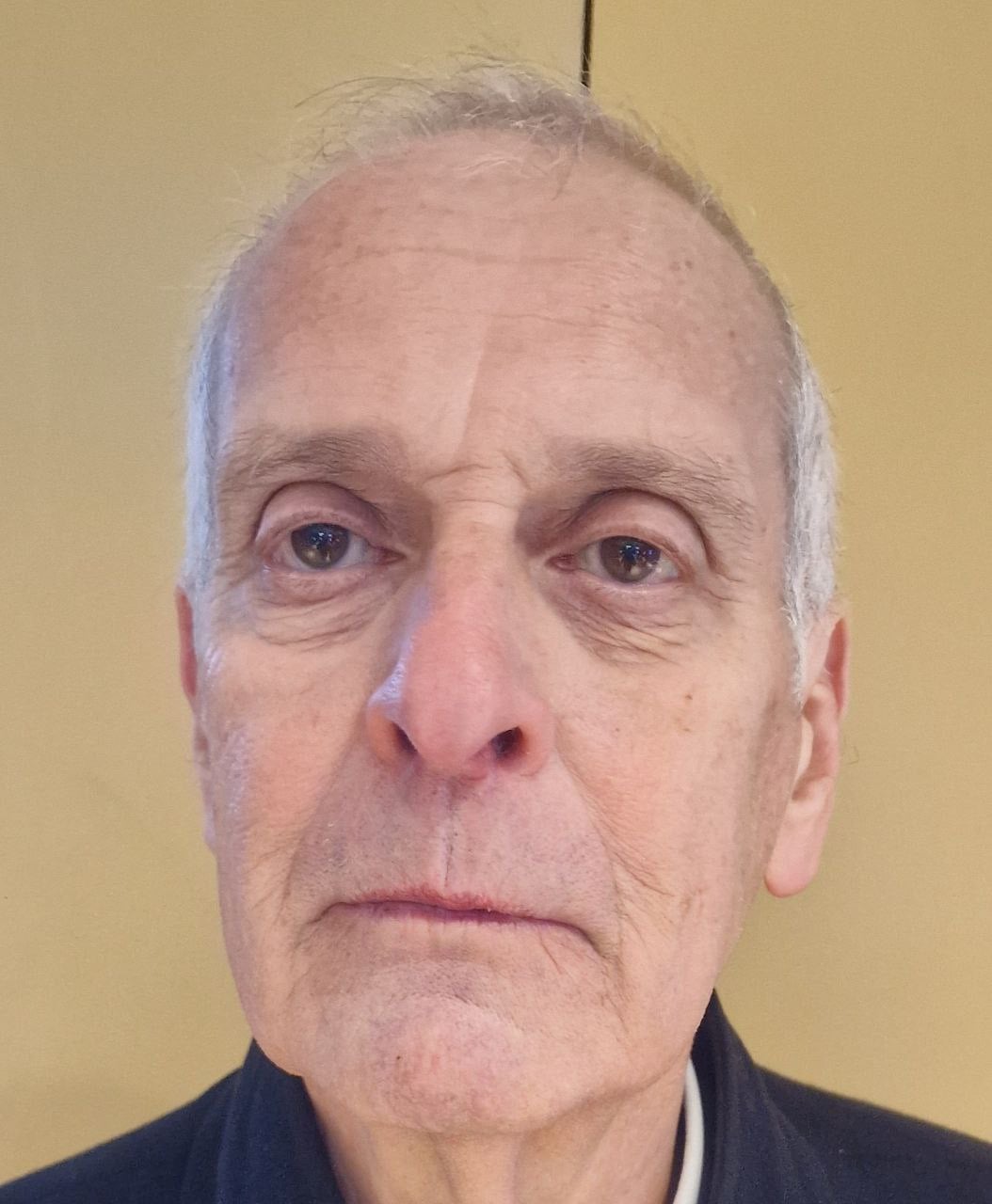 Frédéric STELLA