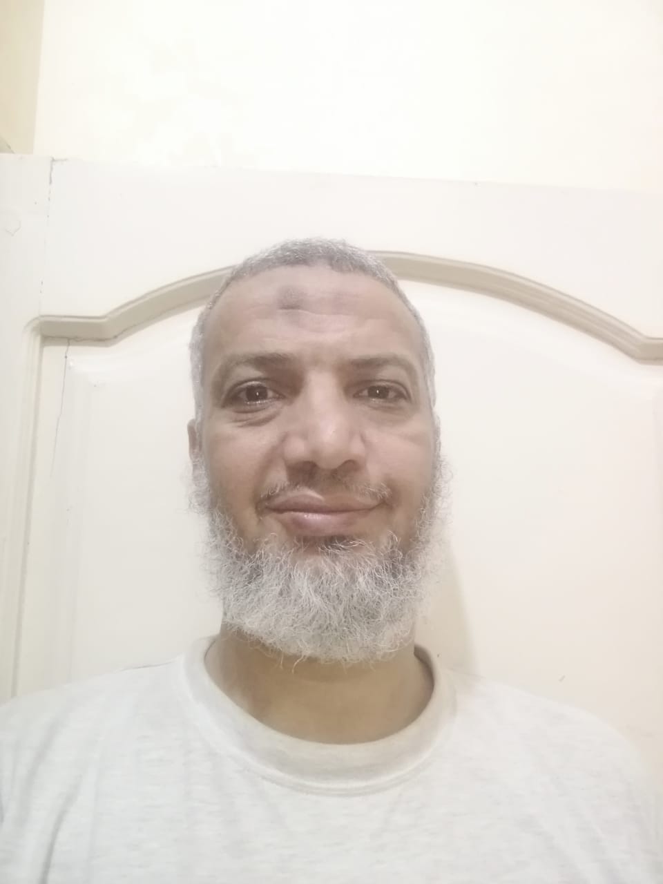 Mohamed Sayed Owais Sayed