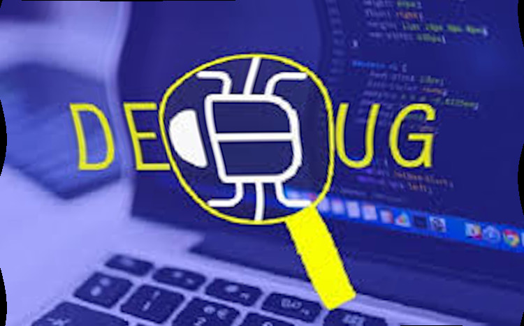Debugging existing software - portfolio - 0