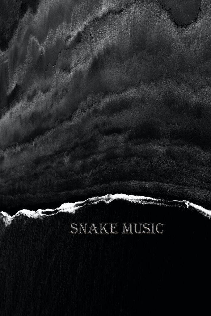 Snake Music - الغلاف