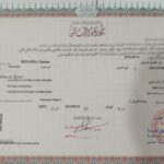 ليسانس في الدراسات النقدية