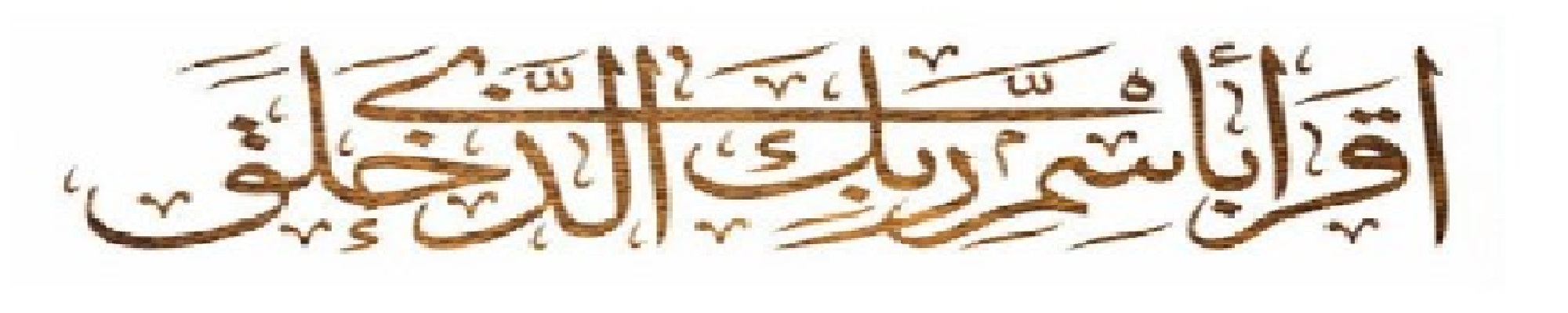 Khalid Ahmed - cover