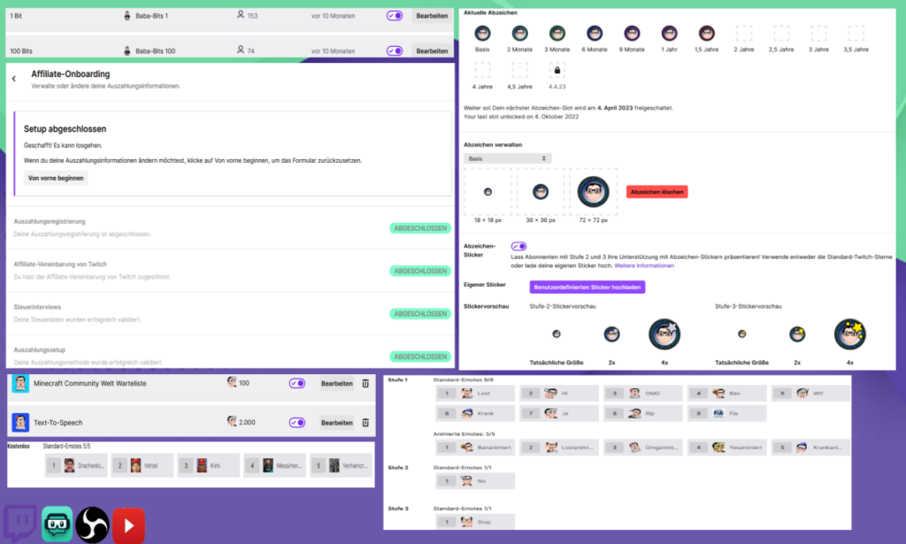 I will setup your Twitch Channel professionally - portfolio - 2