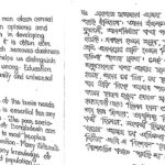 I will write for you in the given script in both English and Bangla within 3 days.