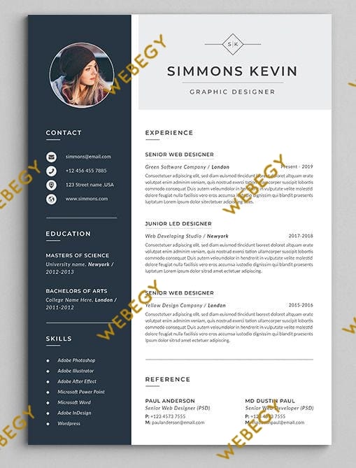 Je créerai votre CV dans les 24 heures - portfolio - 0