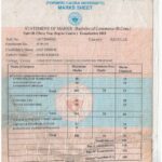 mark Sheet