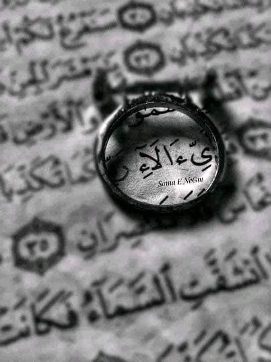 ALAA Samer
