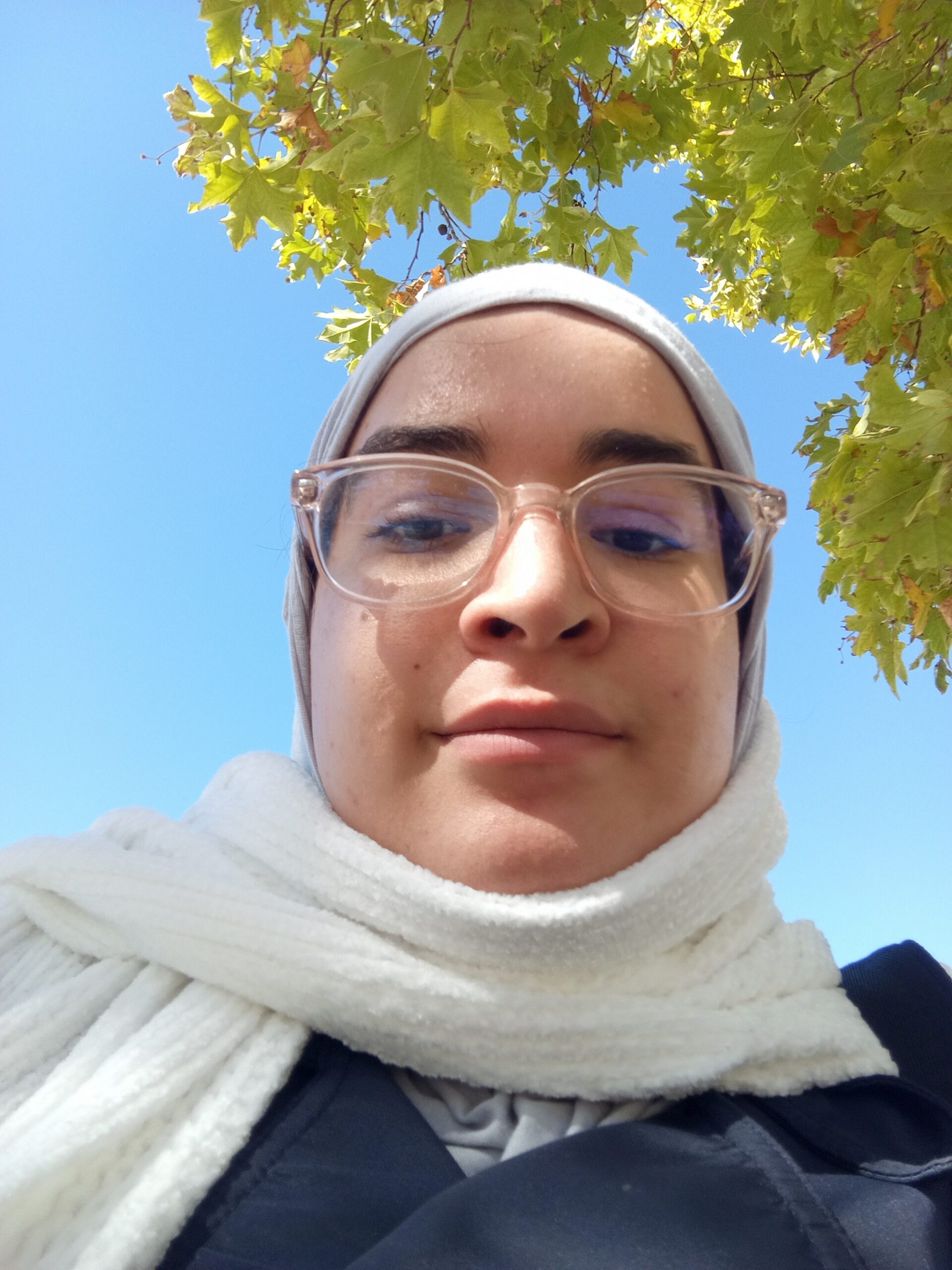 Alaa Boutagouga