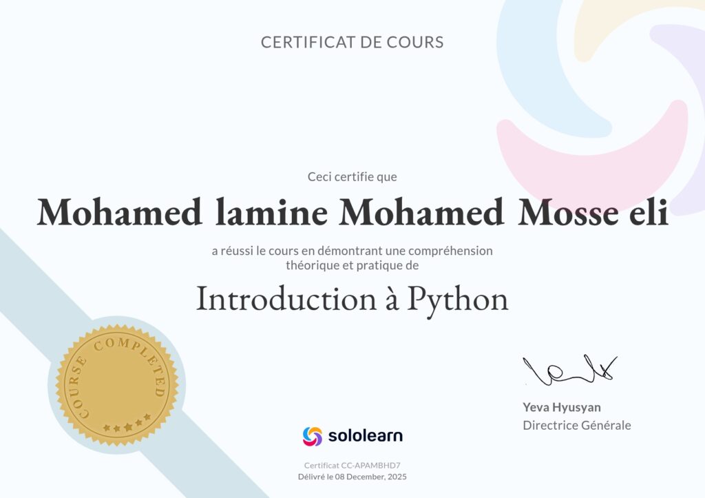 Mohamed Lamine Mosse eli - portfolio - 2