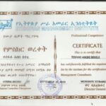 CERTIFICATION OF MANAGEMENT CONSULTANT