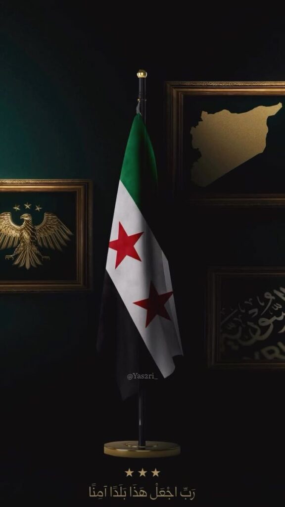 Ayman Studio - portfolio - 0