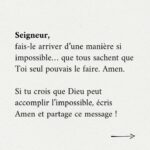  I will reply to WhatsApp messages and do French–Malagasy translat
