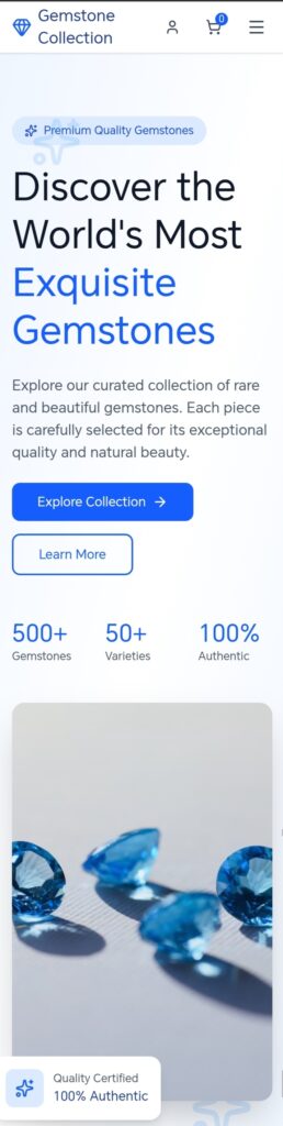 Je concevrai un site web polyvalent et professionnel pour vous en 3 jours - portfolio - 0