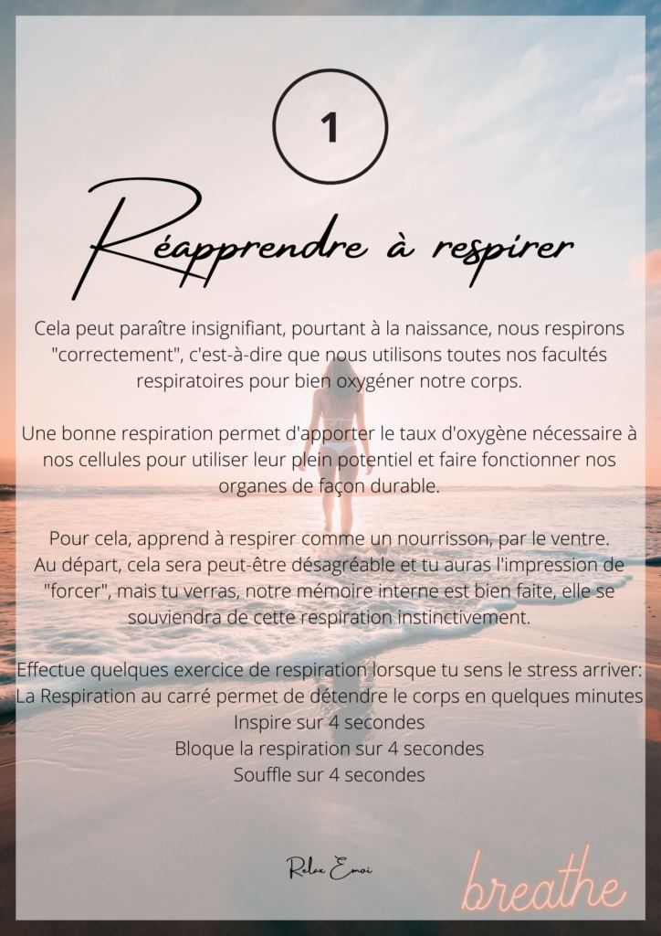 Anne Rominger - portfolio - 0