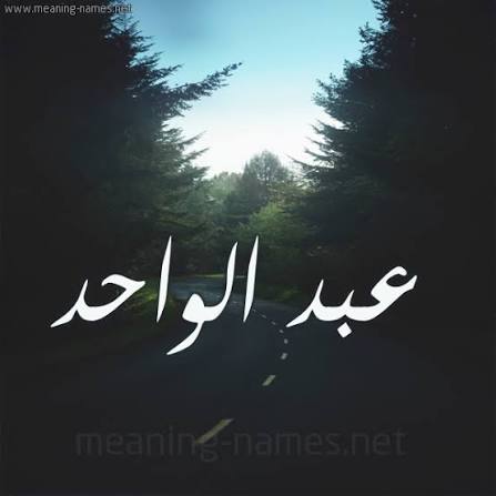 Abdul Wahid Hassoun - cover