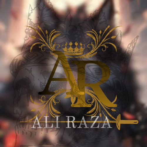 ALI  RAZA  - portfolio - 1