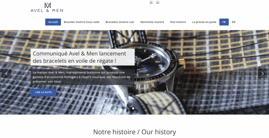 Turnkey e-commerce Wordpress theme creation - portfolio - 2