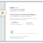 Développer votre intelligence émotionnelle