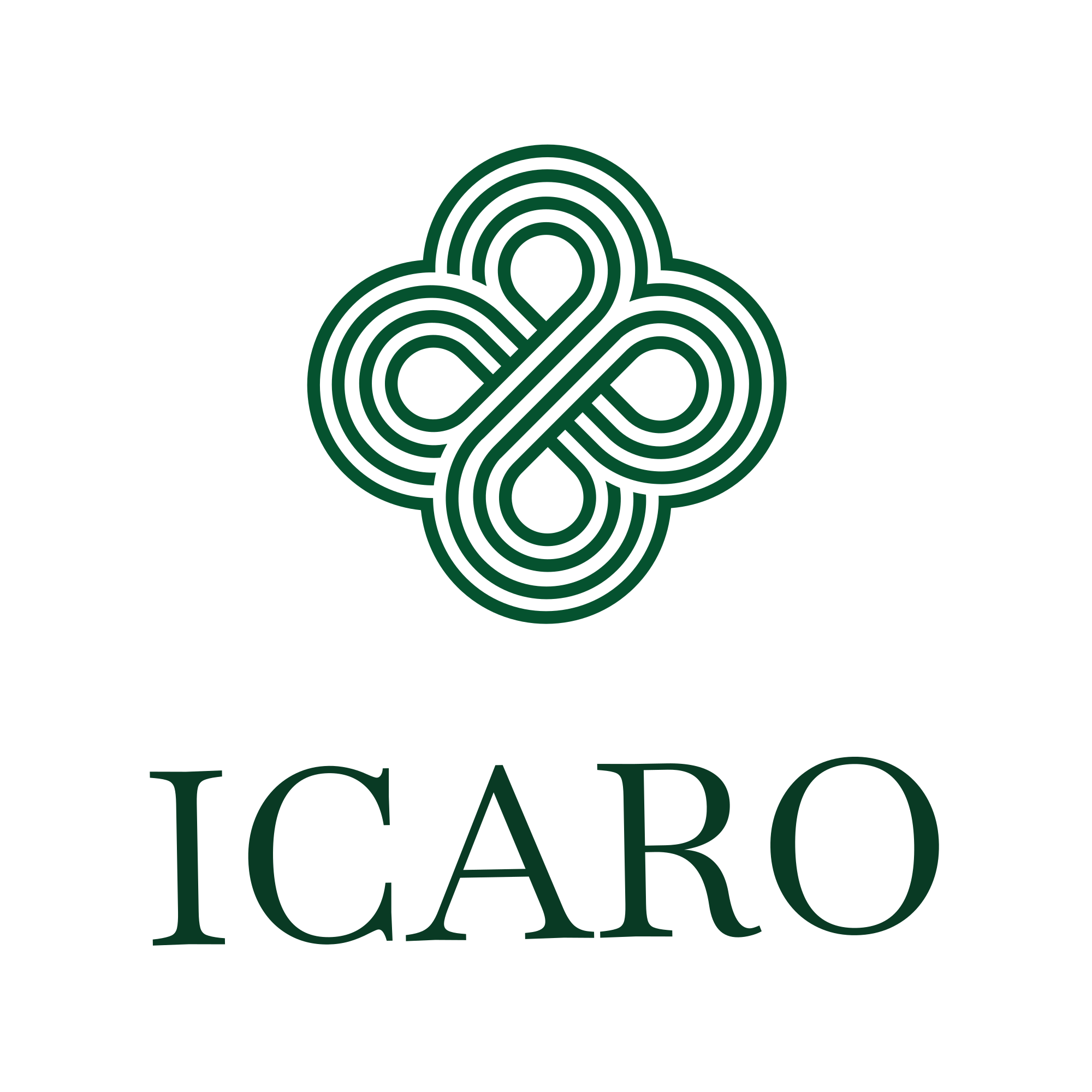 Icaro Nascimento