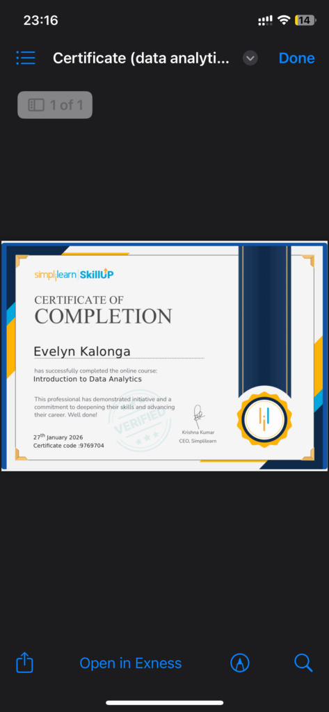 Evelyn Kalonga - portfolio - 0