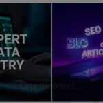 Je fournirai une saisie experte de données et rédigerai du contenu SEO de haute qualité pour votre entreprise. - À distance