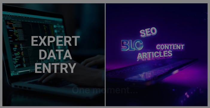 Je fournirai une saisie experte de données et rédigerai du contenu SEO de haute qualité pour votre entreprise. - portfolio - 0