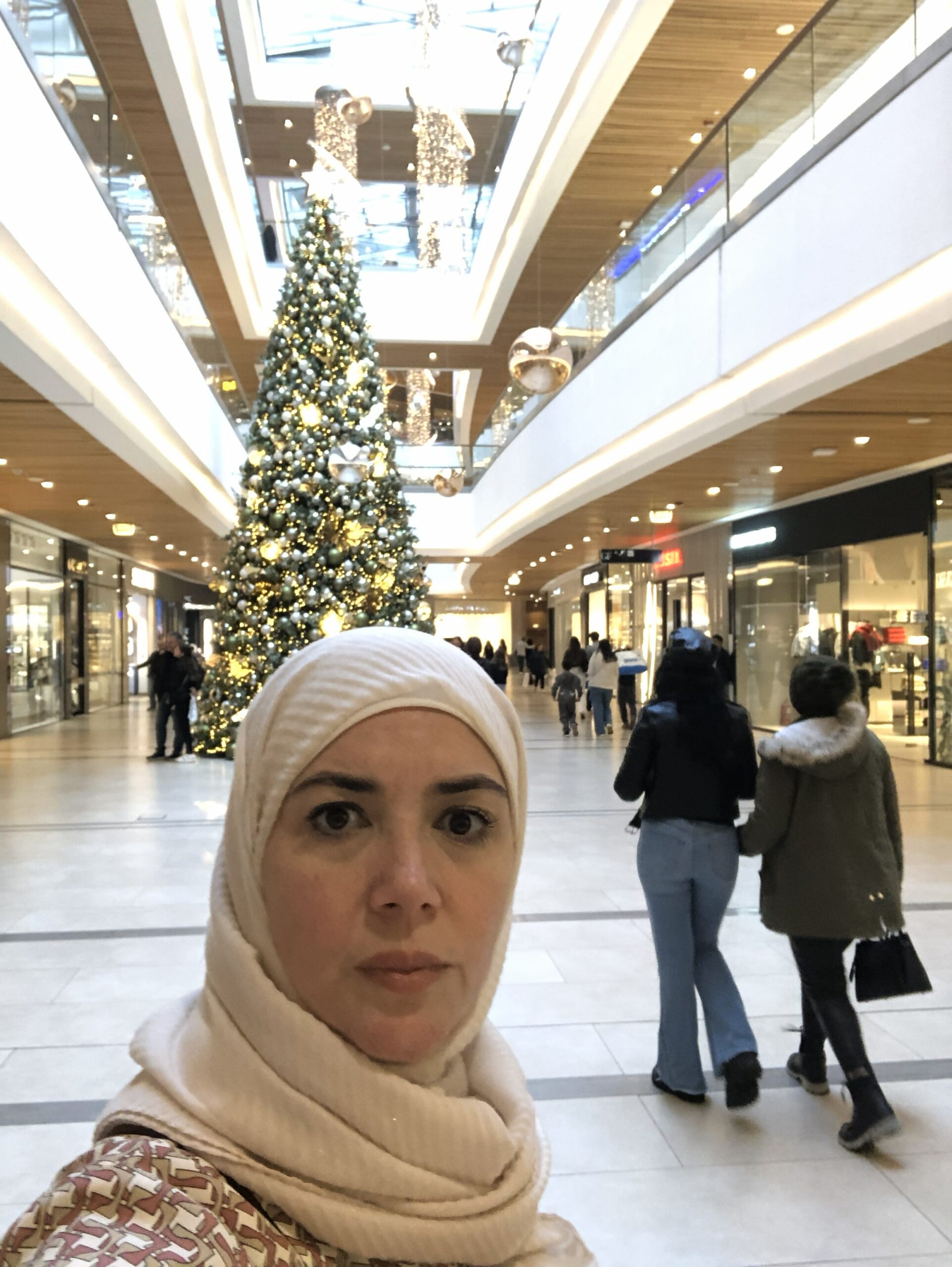 Nisreen Abosweid - cover