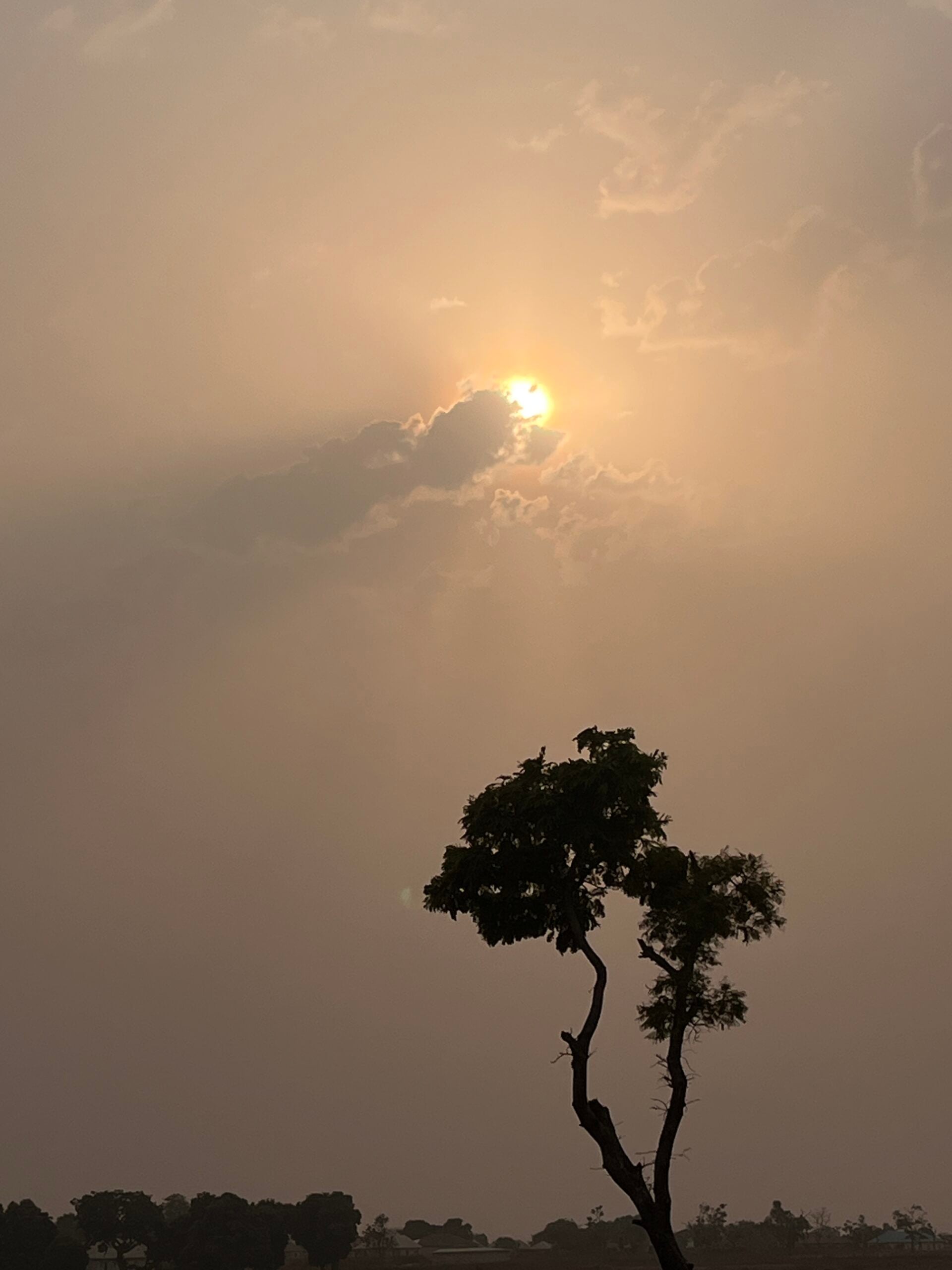 Paul Victory - cover