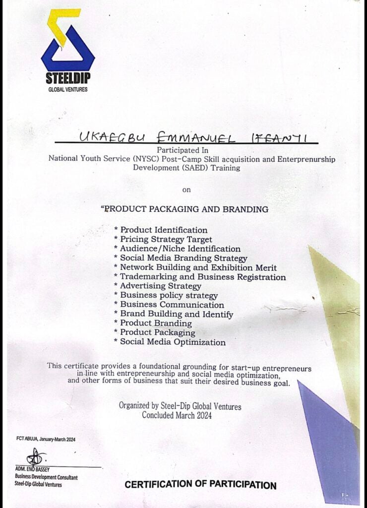 Emmanuel Ukaegbu - portfolio - 2