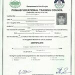 Computer Application & Office Professional