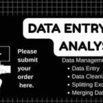 I will do data entry specialist microsoft excel. - Remote