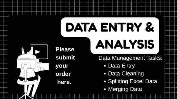 I will do data entry specialist microsoft excel. - portfolio - 0