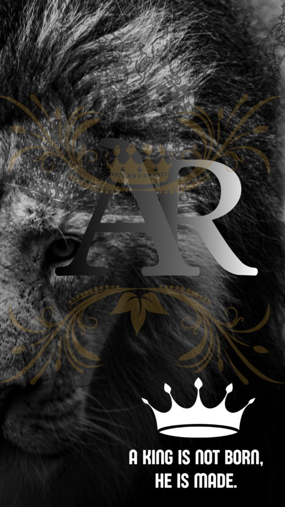 ALI  RAZA  - portfolio - 2