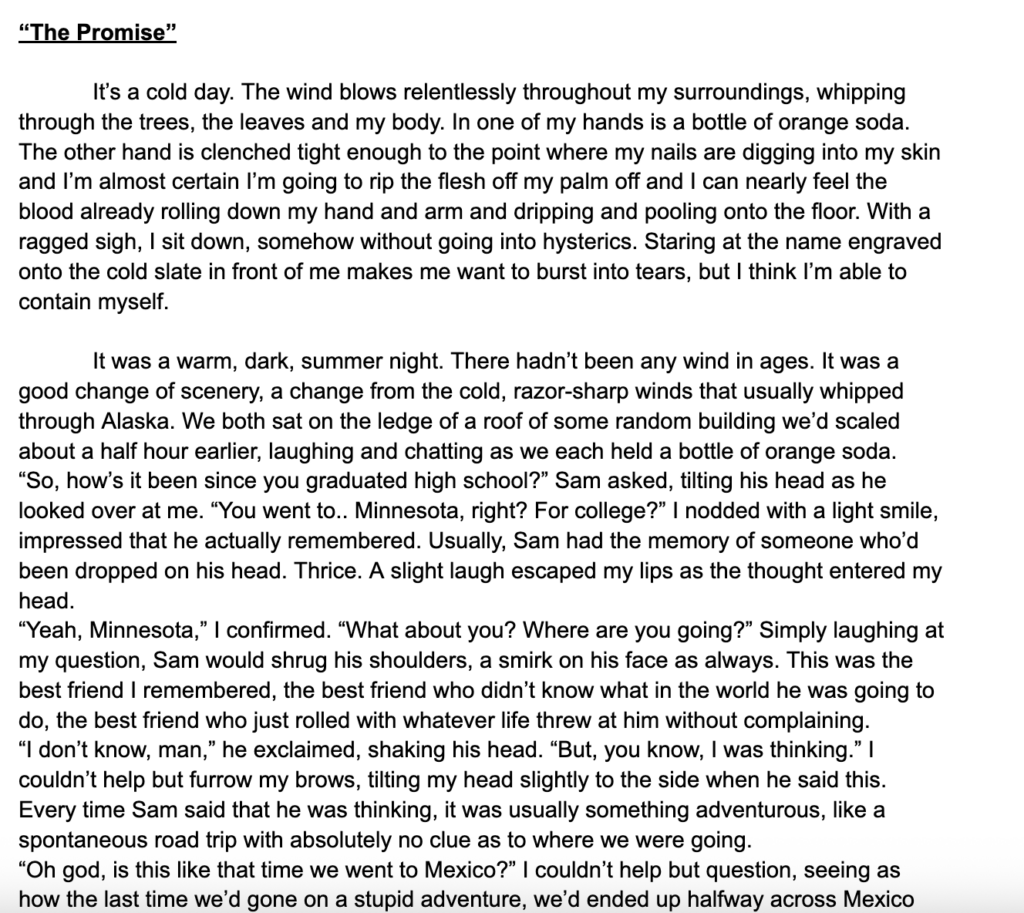 I will write you any piece of literature - portfolio - 0