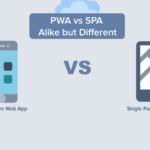 I will build your SPA web app
