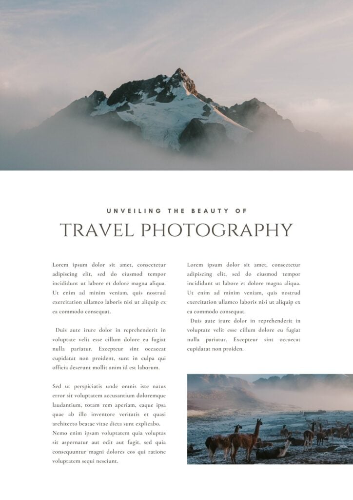 Fatima Imtiaz - portfolio - 0
