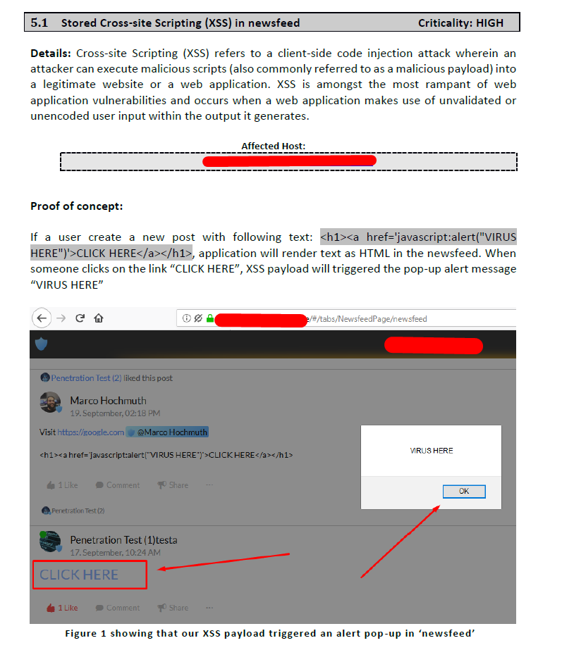 Penetration Testing of Web Application (and supporting infrastructure) - portfolio - 2